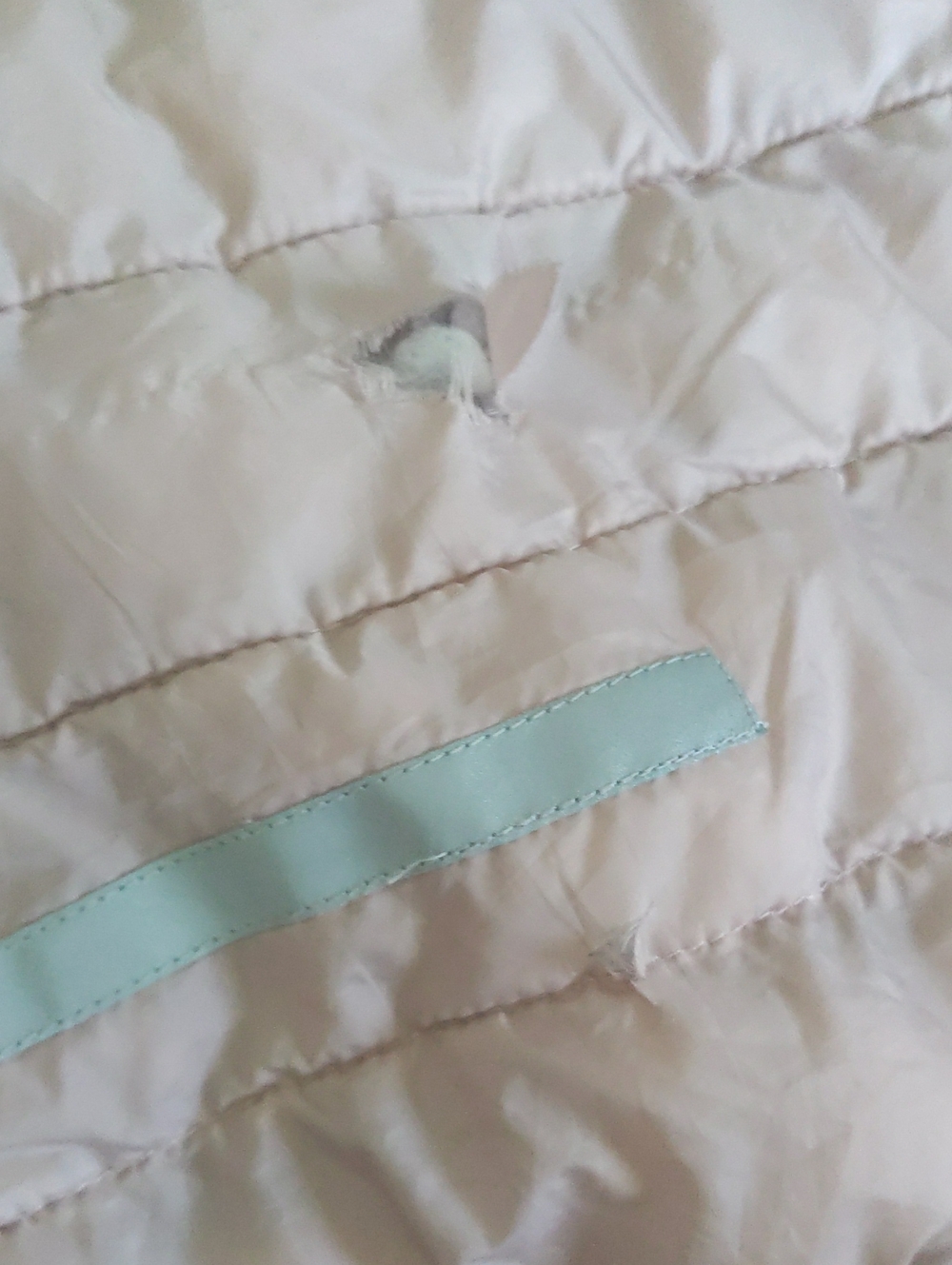 Jacket - Picture 8 of 8